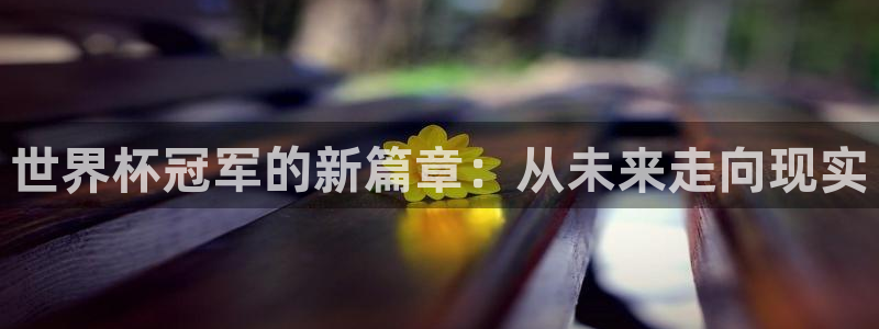 2006世界杯:世界杯冠军的新篇章:从未来走向现实