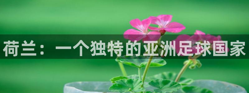 欧洲世预赛赛程表:荷兰:一个独特的亚洲足球国家