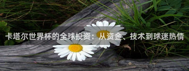 2026世界杯德国队阵容:卡塔尔世界杯的全球投资:从资金、技术到球迷热情