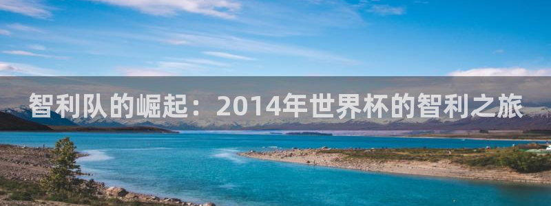 免费看足球直播比赛:智利队的崛起:2014年世界杯的智利之旅