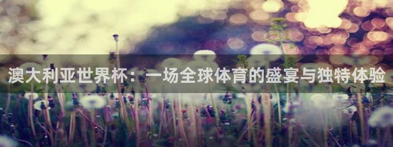 足球世界杯时间:澳大利亚世界杯:一场全球体育的盛宴与独特体验