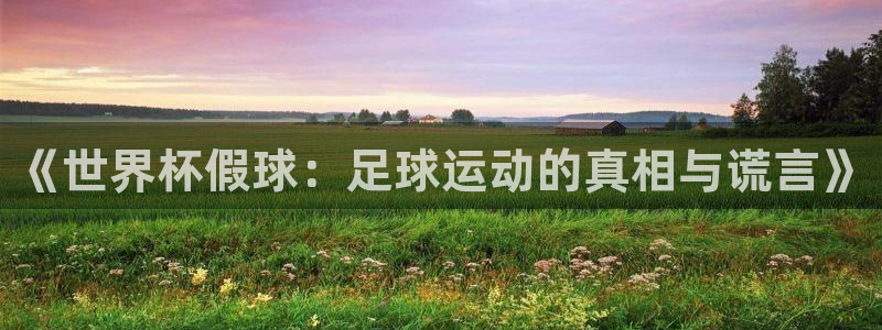 世界杯亚洲区预选赛:《世界杯假球:足球运动的真相与谎言》