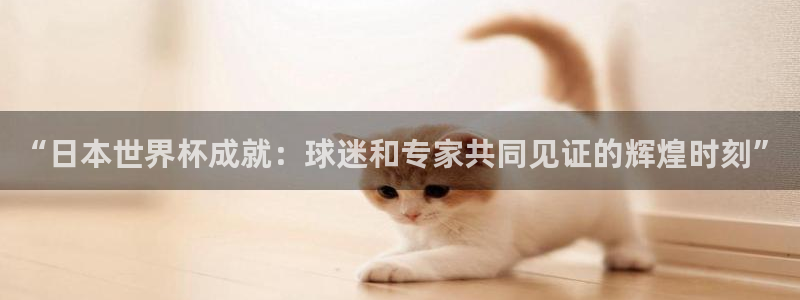 世界杯 赛程:“日本世界杯成就:球迷和专家共同见证的辉煌时刻”